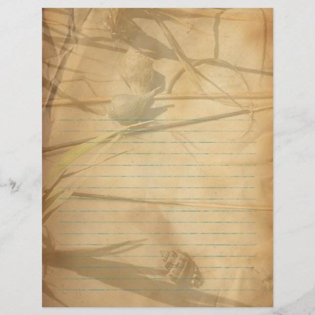 Flyer Shells in Grass Vintage Lined Binder Paper (Frente)