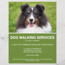 Flyer Shetland Sheepdog Foto do Cachorro Verde Modelo
