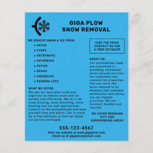 Flyer Snow Removal Plow And Snowflake Graphic