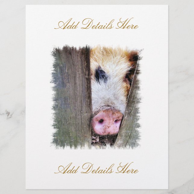 FLYER SUÍNOS (Frente)