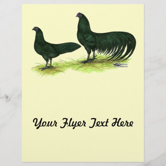 Flyer Sumatra Black Chickens (Frente)