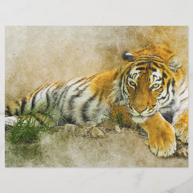 Flyer Tigre (Frente)