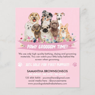 Flyer tosador de cães ilustrado floral simples branco ro