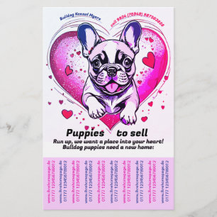 Flyer Traga um cachorrinho Bulldogue Francês para sua ca