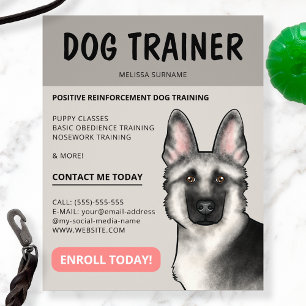 Flyer Treinador de Cães Pastor Alemão Prateado Serviço d