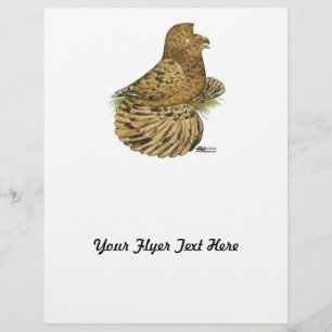 Flyer Trumpeter Pigeon Almond