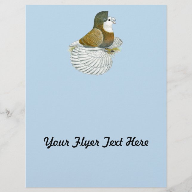 Flyer Trumpeter Pigeon AOC Baldhead (Frente)