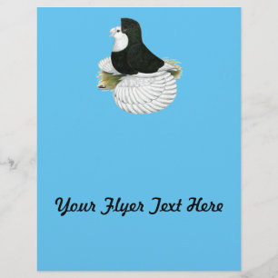 Flyer Trumpeter Pigeon Black Balehead