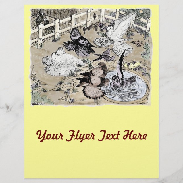 Flyer Trumpeter Pigeon Group Watercolor (Frente)