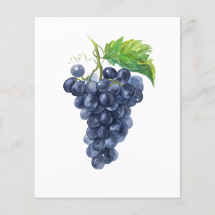 Flyer Uvas escuras em aquarela para eventos de degustaçã