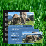 Flyer Vacas Grazing, Publicidade Mais Barata<br><div class="desc">Vacas Grazing,  Mais Cheesemonger,  Folhetos De Publicidade Na Loja De Cartão de visita.</div>