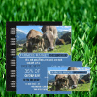 Vacas Grazing, Publicidade Mais Barata