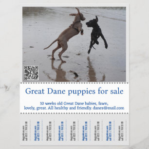 Flyer Vendedor de Poster