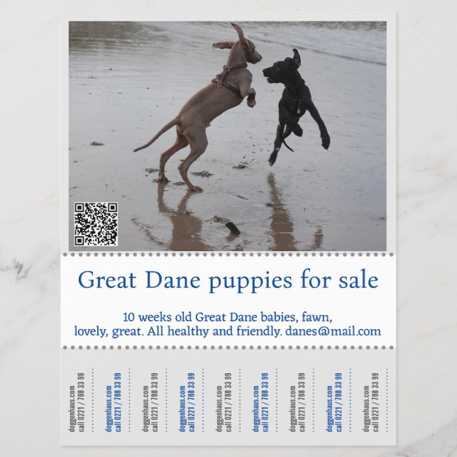 Flyer Vendedor de Poster (Frente)