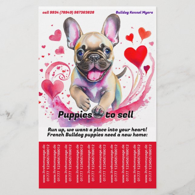 Flyer Vender Buldogue Francês Puppy (Frente)