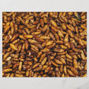 Flyer Vermes de Seda Secos... Comida da Rua Tailandesa