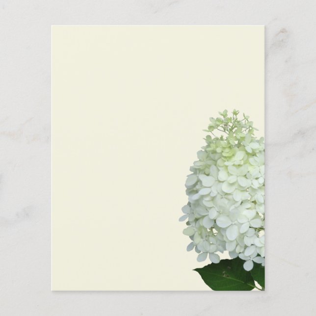 Flyer White Hydrangea Flower Vazio Ecru (Frente)