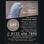 Flyer Wood Pigeon, Publicidade Para Controle De Pest<br><div class="desc">Pombo De Madeira,  Folheto De Publicidade De Controle De Pest Da Loja De Cartão de visita.</div>
