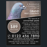 Flyer Wood Pigeon, Publicidade Para Controle De Pest<br><div class="desc">Pombo De Madeira,  Folheto De Publicidade De Controle De Pest Da Loja De Cartão de visita.</div>