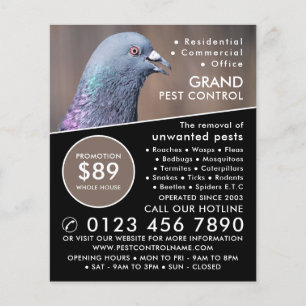 Flyer Wood Pigeon, Publicidade Para Controle De Pest