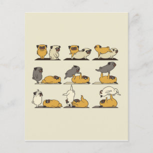 Flyer Yoga Poses, o Bulldog Francês  Amantes De Ioga De