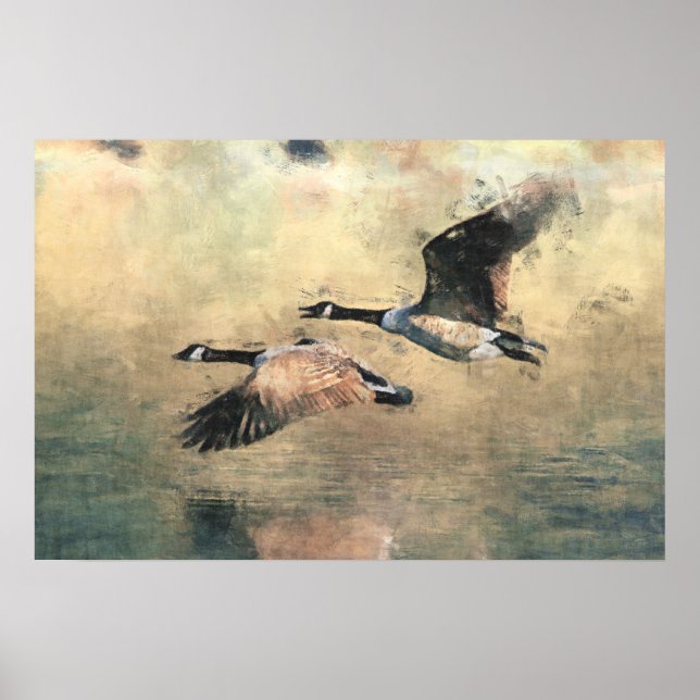 Flying Canada Geese Poster (Frente)