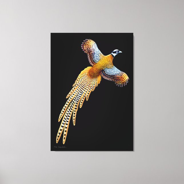 Flying Reeves Pheasant Canvas (Frente)