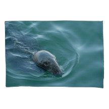 Foca Cinzenta de Chatham em Missão