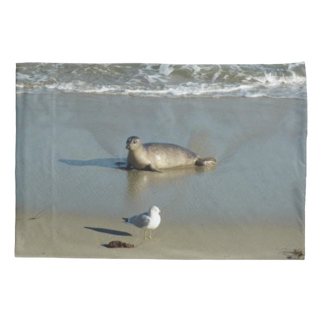 Foca-comum em La Jolla Califórnia (Verso)