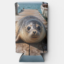 Foca Fofa Deitada no Pier do Porto de Barcos