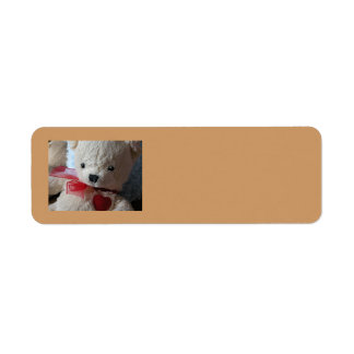 Fofinho Teddy Bear - etiqueta do endereço de retor