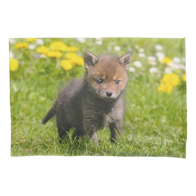 Fofo Floffy Red Fox Cub Baby Animal Photo - (Frente)
