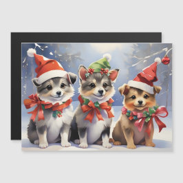 Fofos Filhotes de Natal com Chapéus de Papai Noel