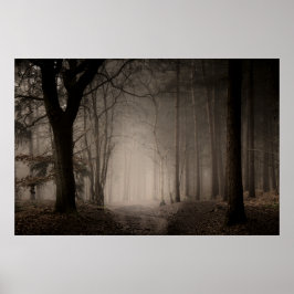 Foggy Morning Rushmere Country Park (0856) Poster