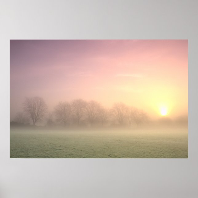 Foggy Winter Sunrise (6598) Poster (Frente)