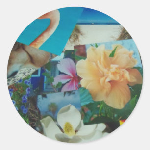 Folha de adesivos - Colagem colorida de fotos