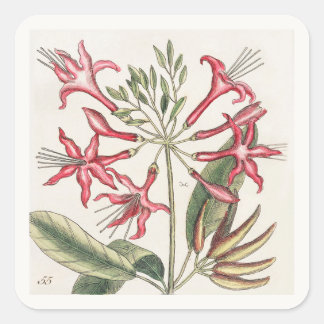 Folha de Adesivos Quadrados Florais Rosa