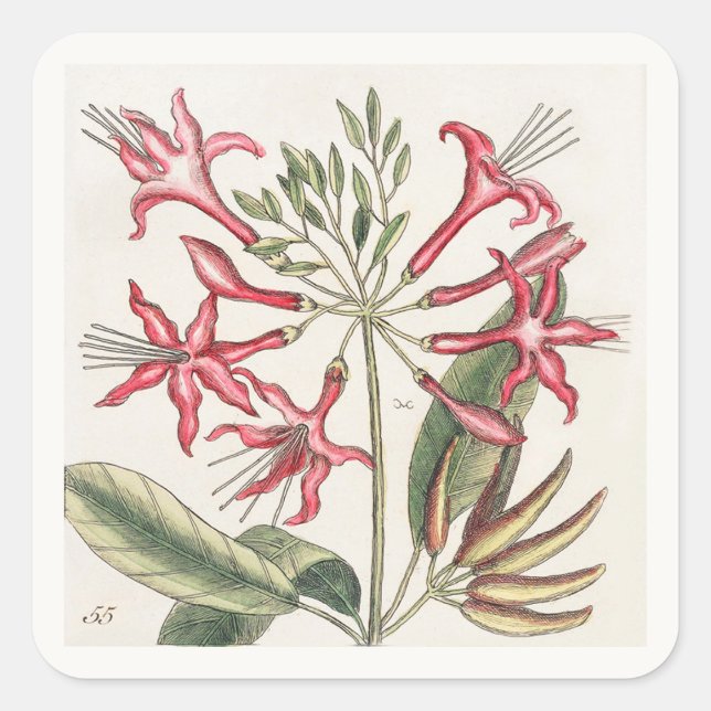 Folha de Adesivos Quadrados Florais Rosa (Frente)