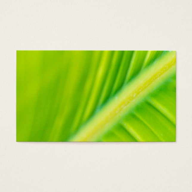 folha de bananas verde (Frente)