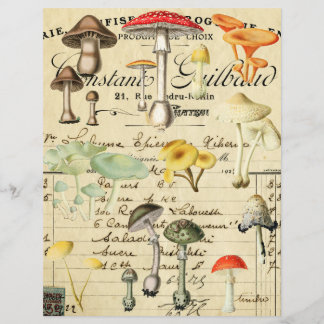 Folha de colagem de cogumelos fungos vintage