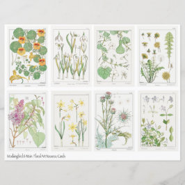 Folha de Colagem de Flores Art Nouveau Verneuil