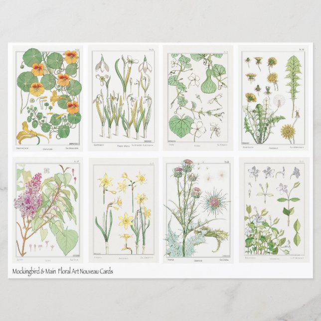 Folha de Colagem de Flores Art Nouveau Verneuil (Frente)