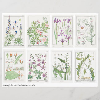 Folha de Colagem de Flores Art Nouveau Verneuil