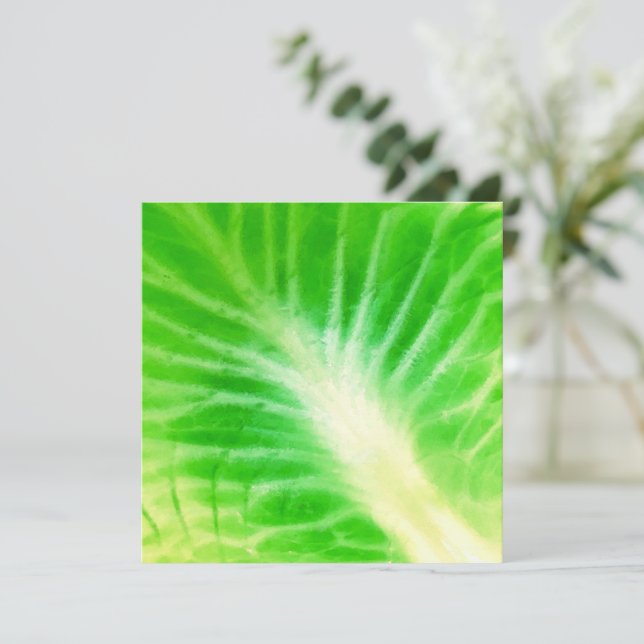 Folha de Couve (Em pé/Frente)