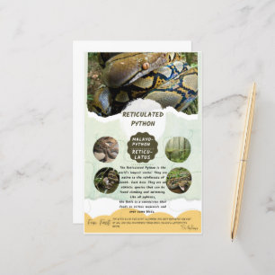 Folha de Cuidados com Python Reticulado