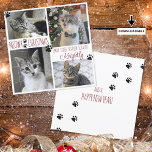 Folha de Foto do Cat 4 Engraçada Imprime Cartão ME<br><div class="desc">Cartão de boas-vindas de Natal de gato engraçado, com fotos e fotos com a saudação MEOWY CHRISTMAS na frente e o texto no verso (a amostra mostra AND A FELIZ ANO NOVO) e 4 fotos destacadas com fotos de pata colorida personalizadas para coordenar com suas fotos (mostradas em vermelho editável...</div>