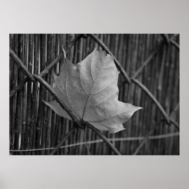 Folha de Mapeamento Seco - Poster (Frente)