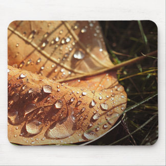 Folha de outono úmida - Mousepad