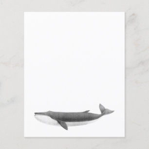 FOLHA DE PAPEL DE BALEIA