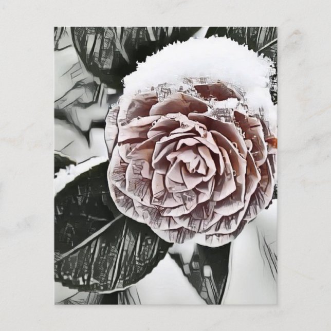 Folha de papel de desenho de Rosa com neve congela (Frente)